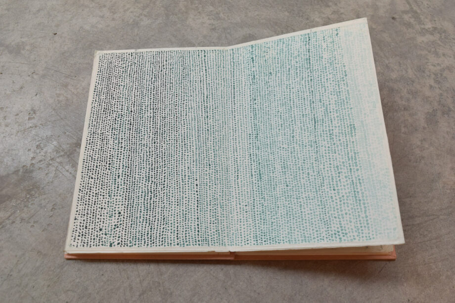 Mineral pigment book CAA_DET03