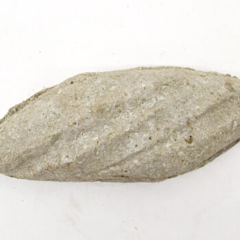 Pan19 bollito alargado