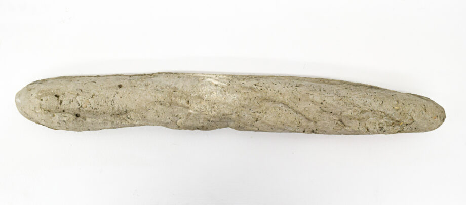 Pan21 barra
