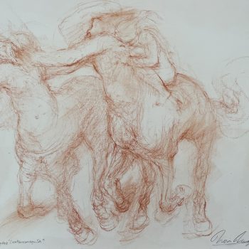 Estudio para centauromaquia I