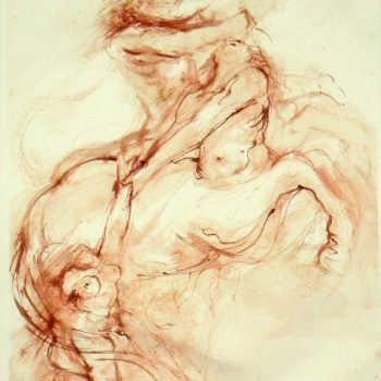 Centauromaquia XIII X